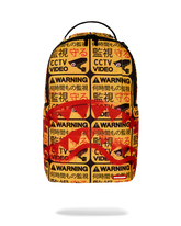 CCTV SECTOR 404 BACKPACK