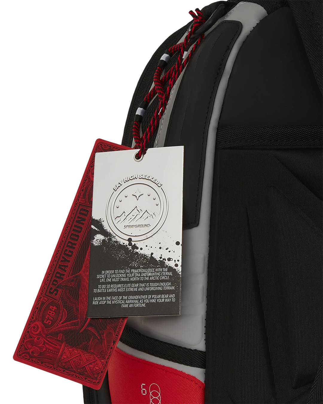 SKY HIGH SEEKERS ARCTIC DELUXE BACKPACK